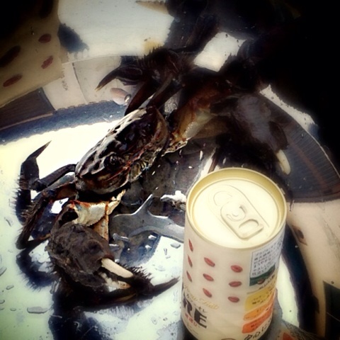 {A33BC04C-1B49-4E81-A355-3AADCF470C37:01}