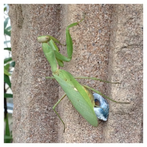 {64C4A739-6B52-4A34-B8A7-E45708B36446:01}