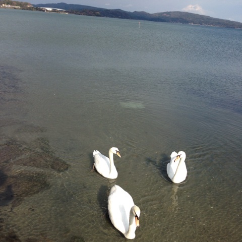 {BD4DBE39-4DF2-4504-A5C7-CF3DF55D2E55:01}